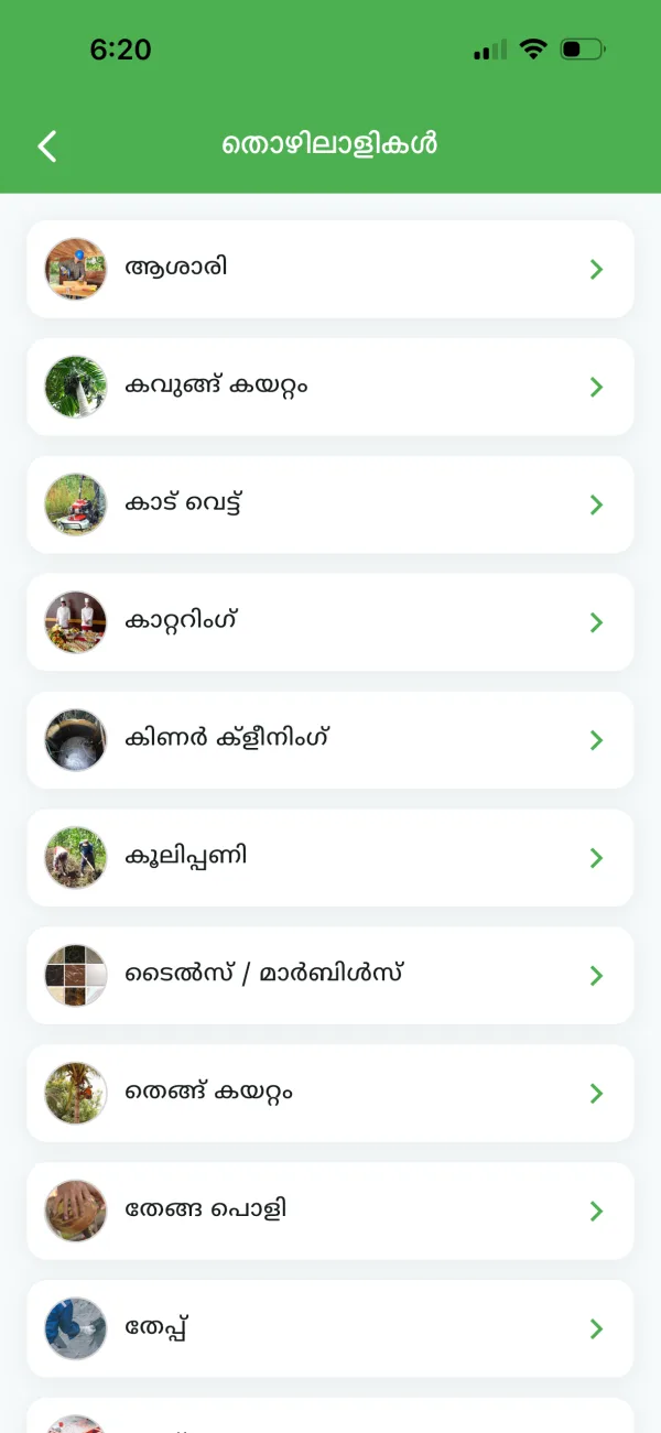 Worker categories in the Thalayatukar app, such as carpenter, coconut climbing, well cleaning and daily labour